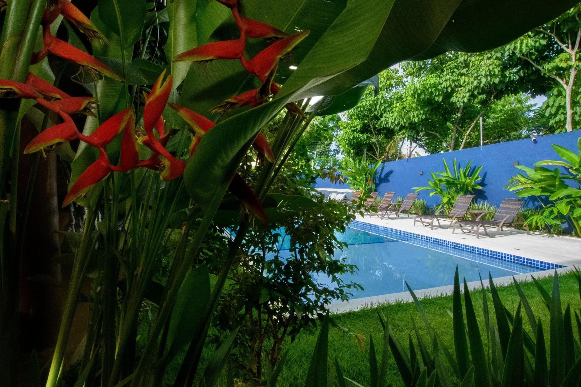 Aqui Bate A Brisa Pousada Porto Seguro Dış mekan fotoğraf